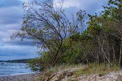 AC米兰联手签约西班牙中场，夺冠前景大增，效力过ac米兰的中场